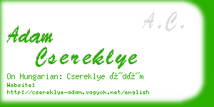 adam csereklye business card